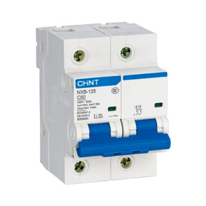 Cầu dao MCB Chint NXB1-125G-C125