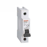 Cầu dao MCB Hitachi BTK63-type-C-1P-40A