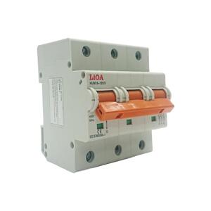 Cầu dao tự động LiOA MCB3006/10