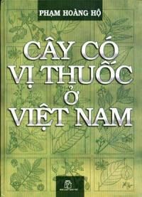 Cây Có Vị Thuốc Ở Việt Nam