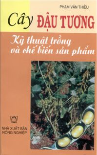 Cây đậu tương kỹ thuật trồng và chế biến sản phẩm