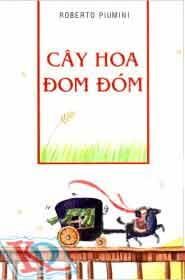 Cây hoa đom đóm