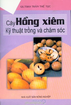 Cây Hồng Xiêm - Kỹ Thuật Trồng Và Chăm Sóc - Trần Thế Tục