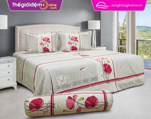 Chăn ga gối Sông Hồng Home Collection H15 034 ga chun