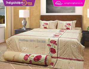 Chăn ga gối Sông Hồng Home Collection H15 033 ga chun