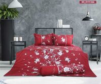 Chăn ga gối Sông Hồng Home collection H19066