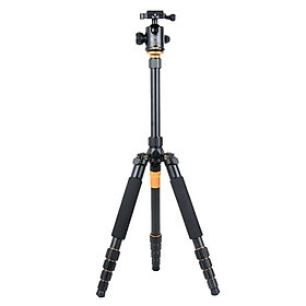 Chân máy ảnh chuyên nghiệp Tripod Beike – Q666C