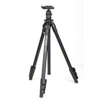 Chân máy BENRO Mini Tripod A160FBR0