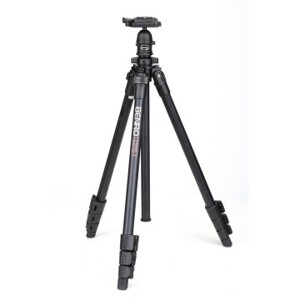 Chân máy BENRO Mini Tripod A160FBR0