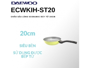 Chảo đá Ecoramic sâu lòng 20cm (bếp từ) ECWKIH-ST20