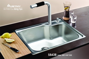 Chậu rửa bát Việt Mỹ 5843B