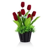 Chậu tulip Tilies Osimia TUP-042-RE1