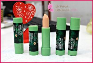 Che khuyết điểm The Body Shop Tea Tree Concealer