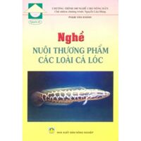 Chương Trình 100 Nghề Cho Nông Dân: Nghề Nuôi Thương Phẩm Các Loài Cá Lóc