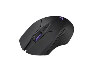 Chuột không dây Gaming Rapoo V20W