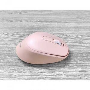 Chuột máy tính - Mouse Forter D225