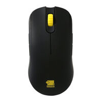 Chuột máy tính ZOWIE FK2