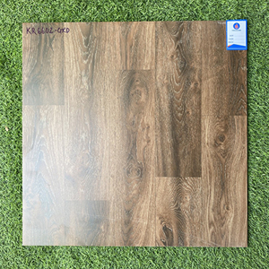 Đá bán sứ mờ Viglacera 60x60 KR6602-GRD