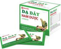 Dạ dày Nam Dược