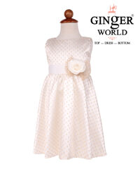 Đầm công chúa Ren in họa họa tiết nhũ vàng GINgER WORLD HQ353