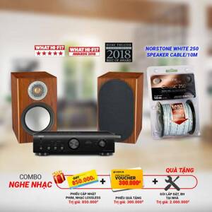 Dàn âm thanh Denon PMA 800NE - Monitor audio silver 100