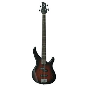 Đàn Electric Bass TRBX174