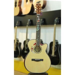 Đàn guitar acoustic Ayers ACX