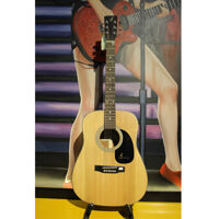 Đàn Guitar Acoustic D-120