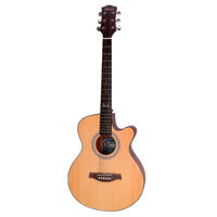 Đàn guitar Acoustic Diana D815-NM