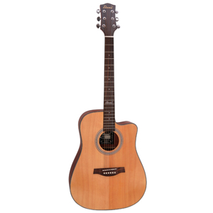 Đàn guitar acoustic Diana D816