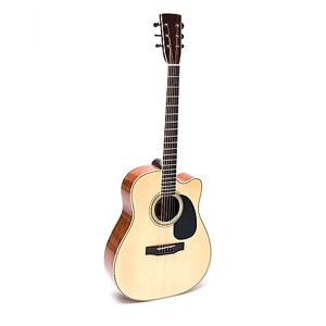 Đàn guitar acoustic DJ260