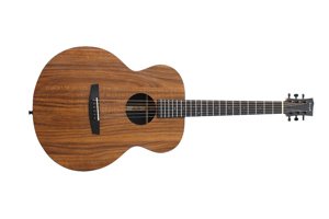 Đàn guitar acoustic Enya EA X1