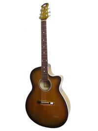 Đàn Guitar Acoustic GA-12EL