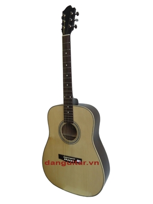 Đàn Guitar Acoustic GA-20HV