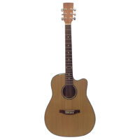 Đàn Guitar Acoustic HD1200