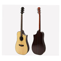 Đàn Guitar Acoustic HEX D350CE