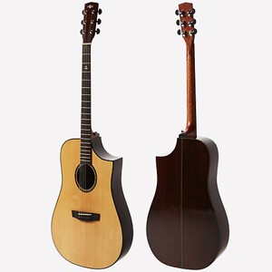 Đàn Guitar Acoustic HEX D450CE