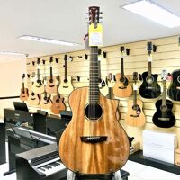 Đàn Guitar Acoustic HEX FX240C