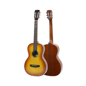 Đàn Guitar Acoustic HEX P300