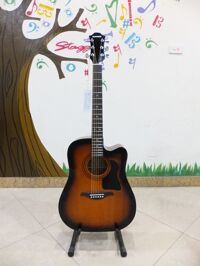 Đàn guitar Acoustic Hohner CS-DCESB