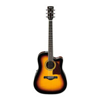 Đàn guitar Acoustic Ibanez AW300ECE