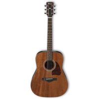 Đàn Guitar Acoustic Ibanez AW54