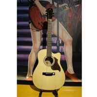 Đàn Guitar Acoustic M350