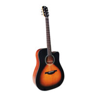 Đàn guitar acoustic Rex RD1C-VS
