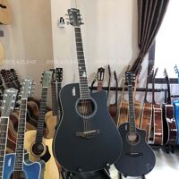 Đàn Guitar Acoustic Rosen G12F