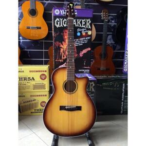 Đàn guitar acoustic SAG03CVS