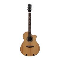 Đàn guitar Acoustic SAG04CN