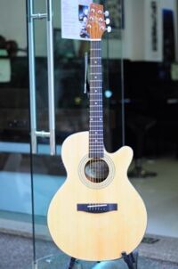 Đàn guitar Acoustic Stagg NP32MJCBB