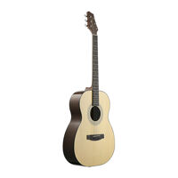 Đàn guitar Acoustic Stagg NP32