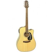 Đàn guitar acoustic Takamine ED21SC (ED-21SC)